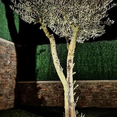 O Lar De Alba * La Rúa