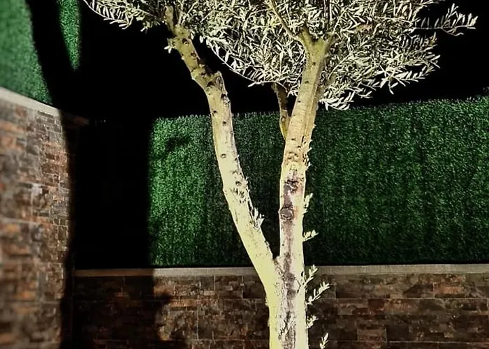 O Lar De Alba * La Rúa